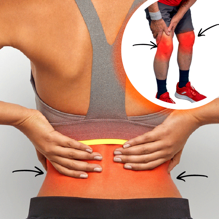 BodyFlex Pro™ – 🏠 Entrena desde Casa y Logra un Físico de Impacto